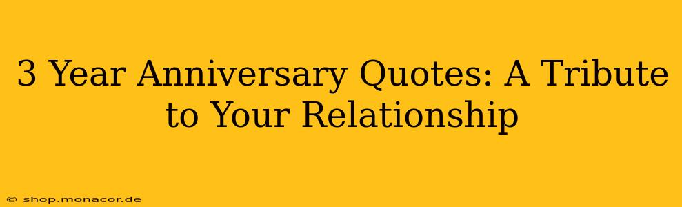3 Year Anniversary Quotes: A Tribute to Your Relationship