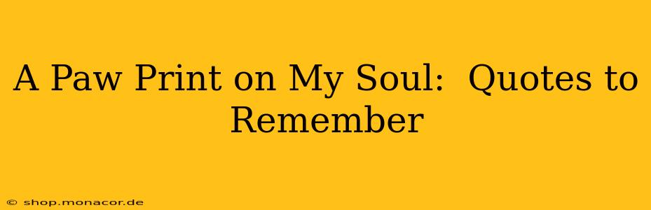 A Paw Print on My Soul:  Quotes to Remember