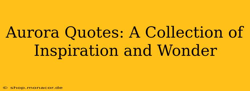 Aurora Quotes: A Collection of Inspiration and Wonder
