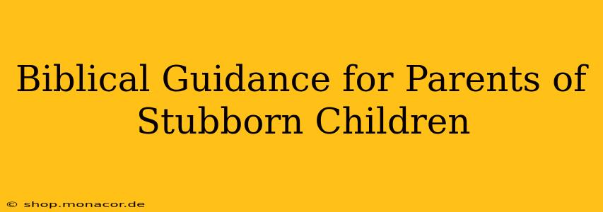 Biblical Guidance for Parents of Stubborn Children