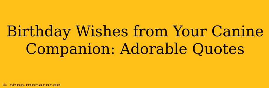 Birthday Wishes from Your Canine Companion: Adorable Quotes