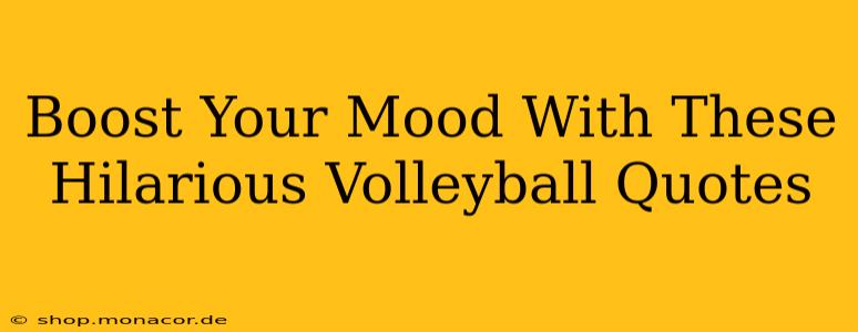 Boost Your Mood With These Hilarious Volleyball Quotes