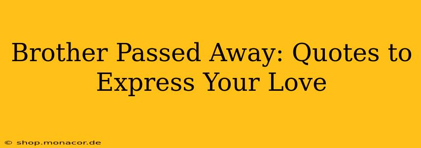 Brother Passed Away: Quotes to Express Your Love
