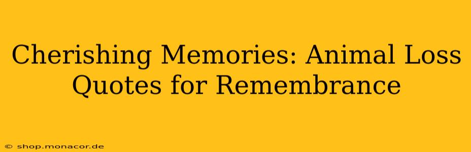 Cherishing Memories: Animal Loss Quotes for Remembrance