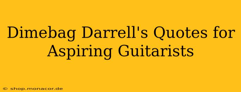 Dimebag Darrell's Quotes for Aspiring Guitarists