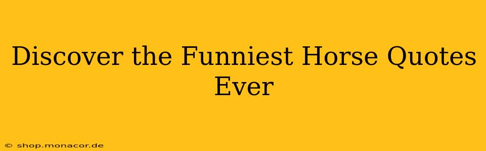 Discover the Funniest Horse Quotes Ever