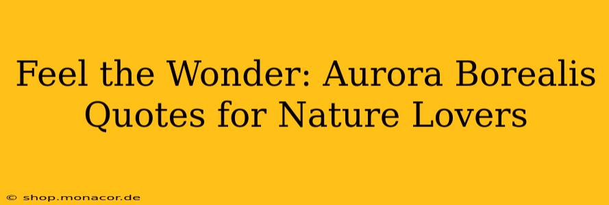 Feel the Wonder: Aurora Borealis Quotes for Nature Lovers