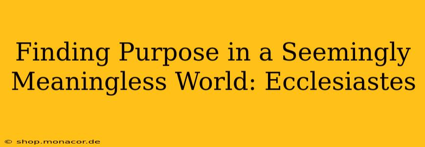 Finding Purpose in a Seemingly Meaningless World: Ecclesiastes