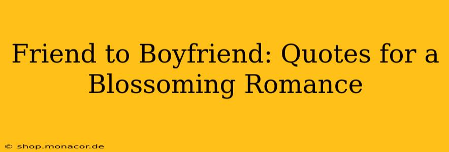 Friend to Boyfriend: Quotes for a Blossoming Romance