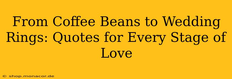 From Coffee Beans to Wedding Rings: Quotes for Every Stage of Love