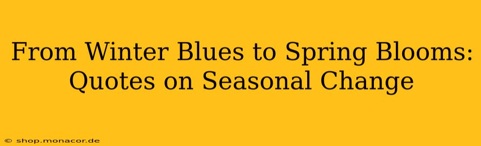 From Winter Blues to Spring Blooms: Quotes on Seasonal Change