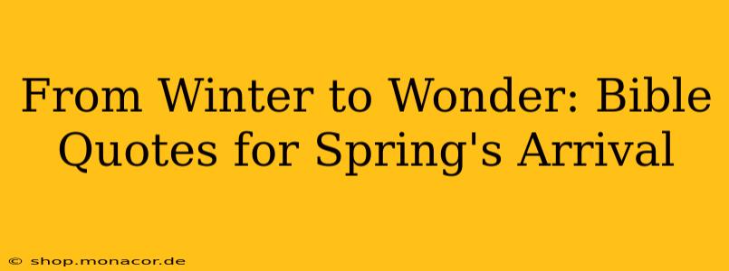 From Winter to Wonder: Bible Quotes for Spring's Arrival