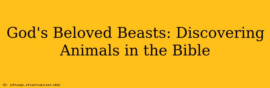 God's Beloved Beasts: Discovering Animals in the Bible