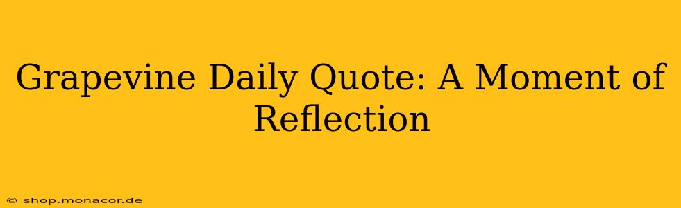 Grapevine Daily Quote: A Moment of Reflection