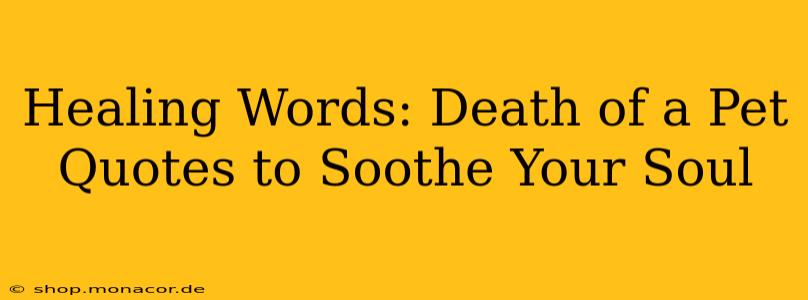 Healing Words: Death of a Pet Quotes to Soothe Your Soul