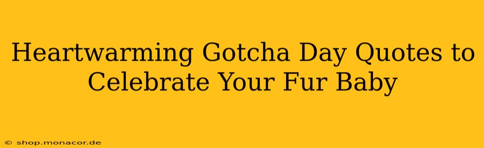 Heartwarming Gotcha Day Quotes to Celebrate Your Fur Baby