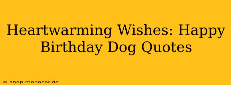 Heartwarming Wishes: Happy Birthday Dog Quotes