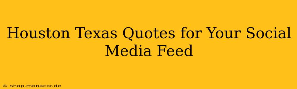 Houston Texas Quotes for Your Social Media Feed