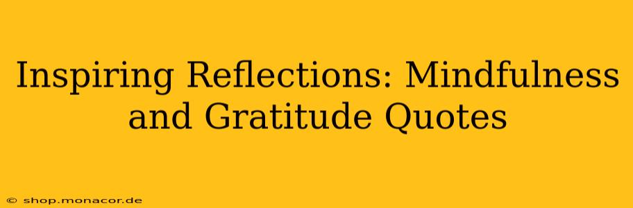 Inspiring Reflections: Mindfulness and Gratitude Quotes
