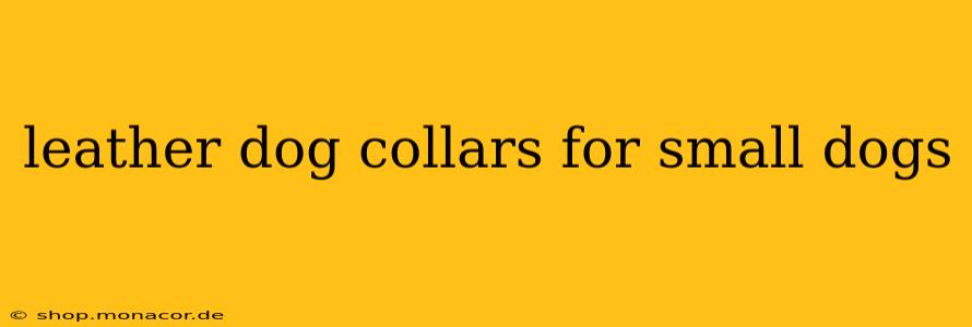 leather dog collars for small dogs
