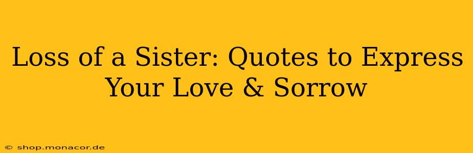Loss of a Sister: Quotes to Express Your Love & Sorrow