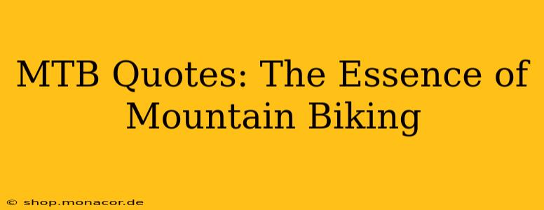 MTB Quotes: The Essence of Mountain Biking