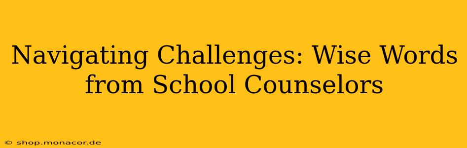 Navigating Challenges: Wise Words from School Counselors