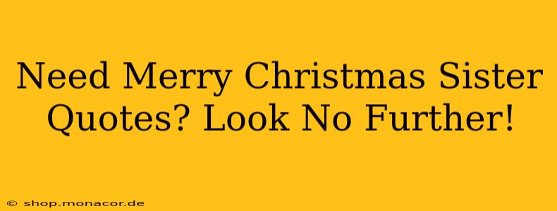 Need Merry Christmas Sister Quotes? Look No Further!