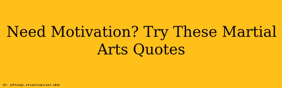Need Motivation? Try These Martial Arts Quotes