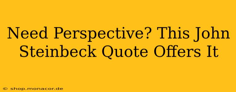 Need Perspective? This John Steinbeck Quote Offers It