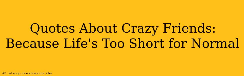 Quotes About Crazy Friends: Because Life's Too Short for Normal