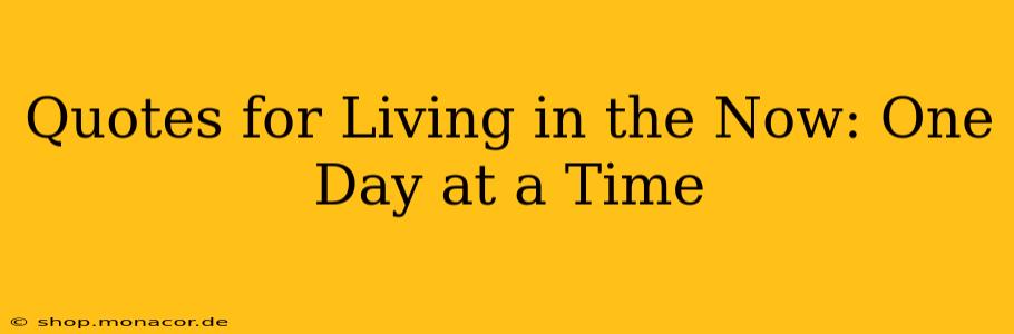 Quotes for Living in the Now: One Day at a Time