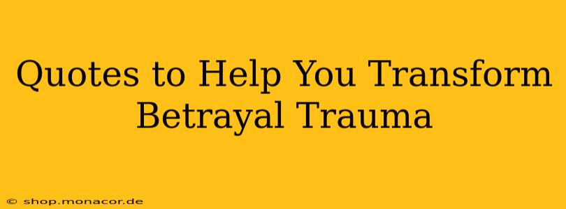 Quotes to Help You Transform Betrayal Trauma