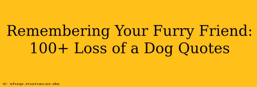 Remembering Your Furry Friend: 100+ Loss of a Dog Quotes