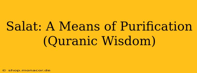 Salat: A Means of Purification (Quranic Wisdom)