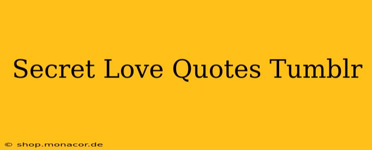 Secret Love Quotes Tumblr