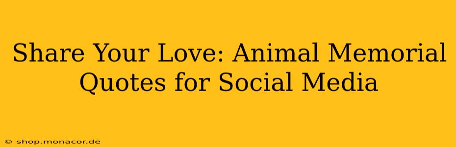 Share Your Love: Animal Memorial Quotes for Social Media