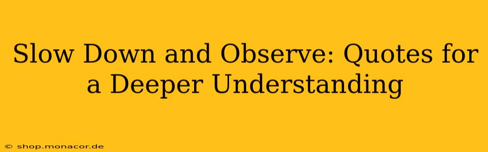 Slow Down and Observe: Quotes for a Deeper Understanding