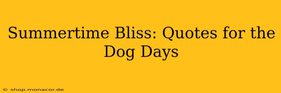 Summertime Bliss: Quotes for the Dog Days