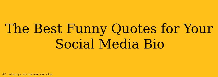 The Best Funny Quotes for Your Social Media Bio