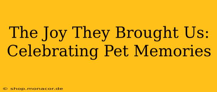 The Joy They Brought Us:  Celebrating Pet Memories