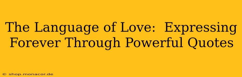 The Language of Love:  Expressing Forever Through Powerful Quotes