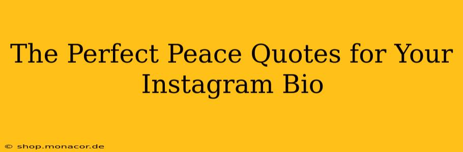 The Perfect Peace Quotes for Your Instagram Bio