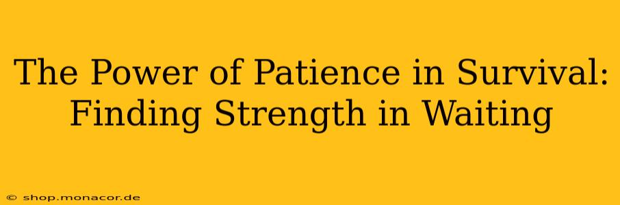 The Power of Patience in Survival: Finding Strength in Waiting