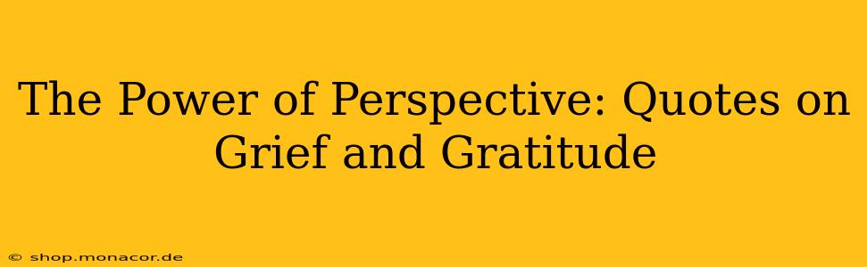 The Power of Perspective: Quotes on Grief and Gratitude