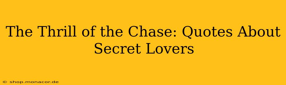 The Thrill of the Chase: Quotes About Secret Lovers