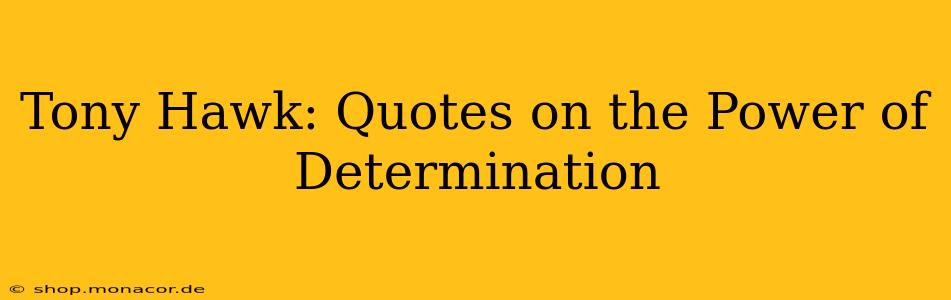 Tony Hawk: Quotes on the Power of Determination