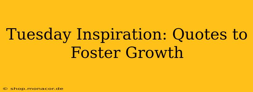 Tuesday Inspiration: Quotes to Foster Growth