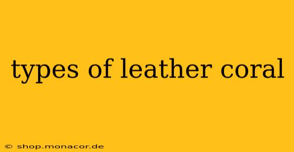 types of leather coral