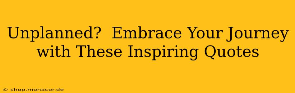 Unplanned?  Embrace Your Journey with These Inspiring Quotes